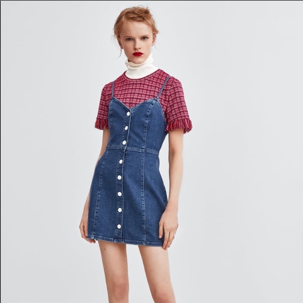 Zara Denim Dress